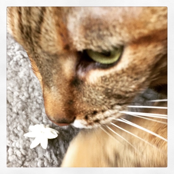 Meet your Posher, Karen - Picture 1 of 1